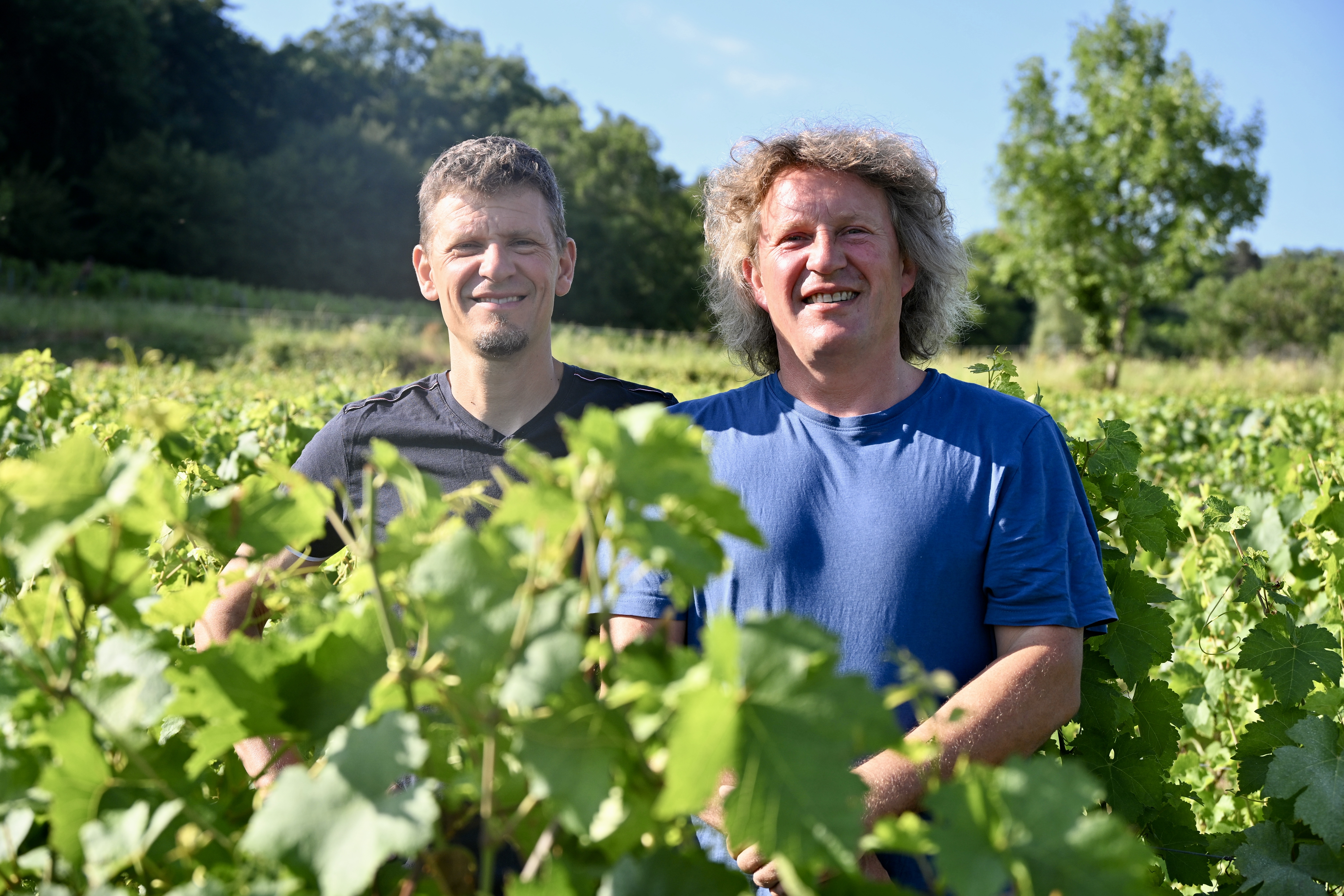 Benoit et Samuel Delalex, Domaine Delalex