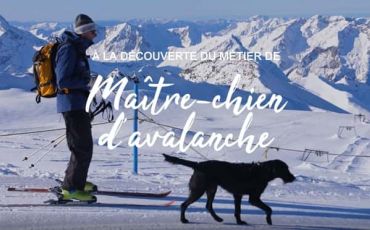 Actualités Sherpa supermarché Maitre chien d'avalanche