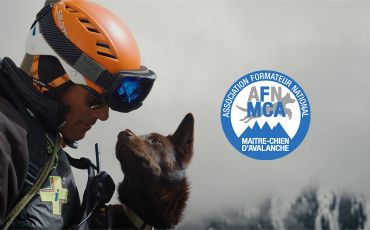vidéo maître-chien d'avalanche