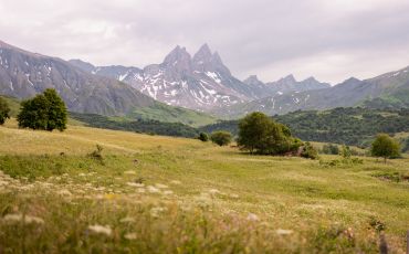 Plan large d'un alpage en été, sommets encore un peu enneigés en arrière-plan, sentier de randonnée qui serpente, lumière chaude de matinée ou fin d'après-midi. 