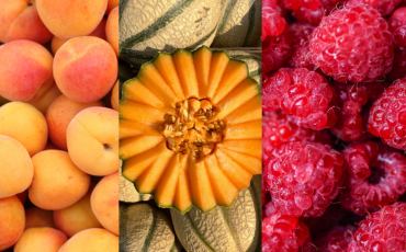abricot melon framboise 