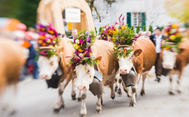 fête de village 