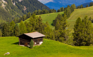 refuge de montagne en bois 