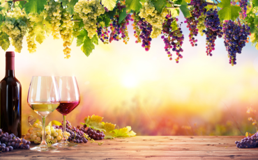 grappe de raison et verre de vins 