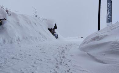 sous la neige