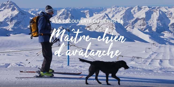 Actualités Sherpa supermarché Maitre chien d'avalanche