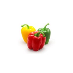 CASINO BIO Poivrons tricolores Bio - ESPAGNE Cat2 - 3 Pièces 3 Pièces