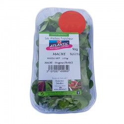 Salade Mache - FRANCE Cat1 - 125g 125g