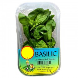 Herbe Fraiche Basilic - ESPAGNE Cat1 - 15g 15g