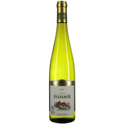 CLUB DES SOMMELIERS Alsace Sylvaner Blanc - 75cl