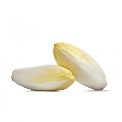 Endives - FRANCE Cat1 - 500g 500g