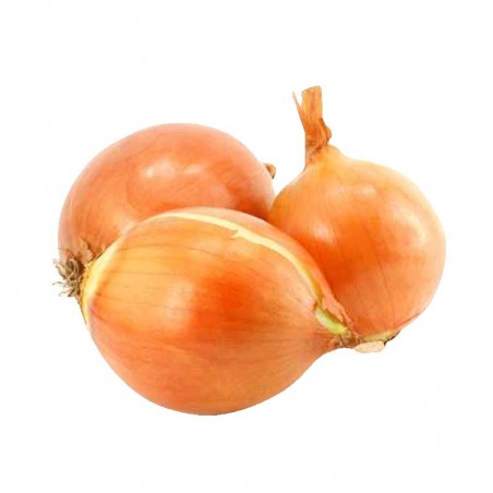 Oignons jaunes - FRANCE Cat1 - 1Kg