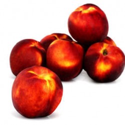 Nectarine jaunes - ESPAGNE Cat1 1 Kg