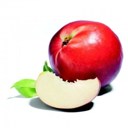 Nectarine blanche - FRANCE Cat1 2 Kg