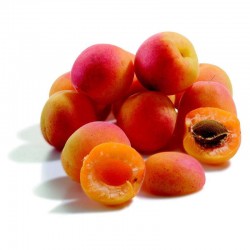 Abricot panier - FRANCE Cat1