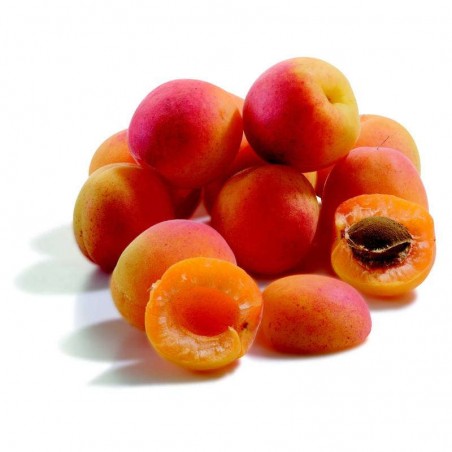 Abricot panier - FRANCE Cat1