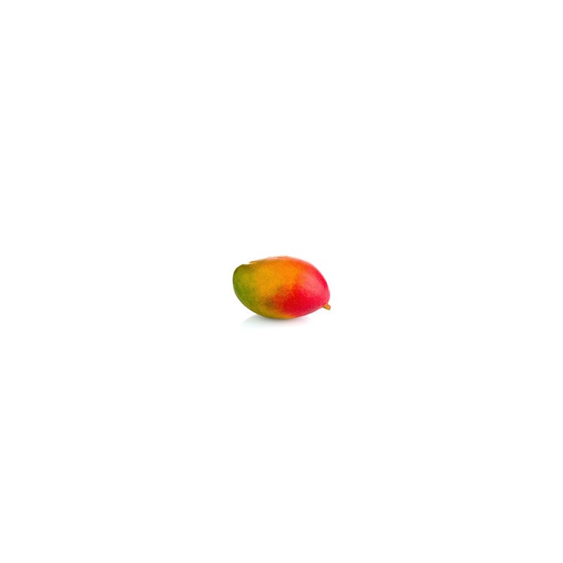 Mangue Kent - BRÉSIL Cat1 - Pièce Pièce