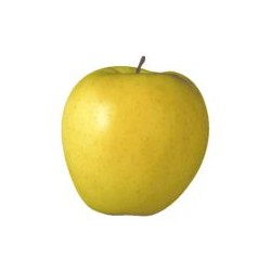 Pomme Golden - FRANCE Cat1 1Kg
