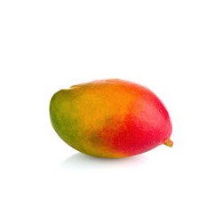 Mangue Kent - BRÉSIL Cat1 - Pièce Pièce