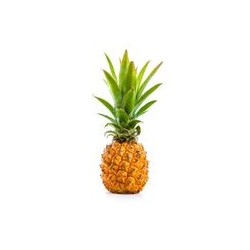 Ananas Victoria - RÉUNION Cat1 - Pièce Pièce