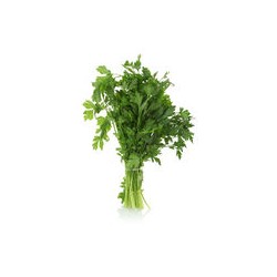 Persil Frisé - FRANCE Cat1 - Bouquet Bouquet