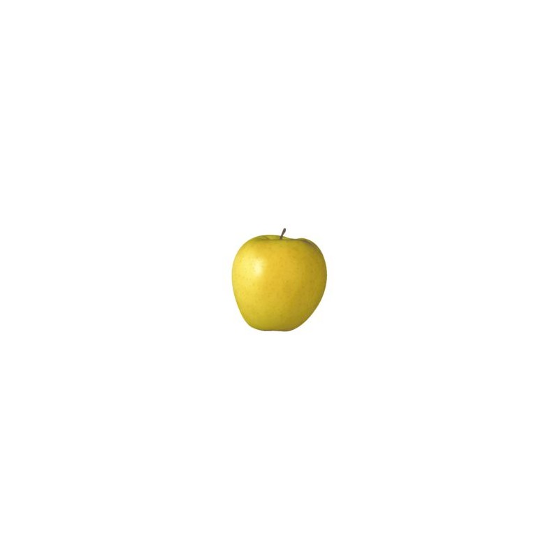 Pomme Golden - FRANCE Cat1 1Kg