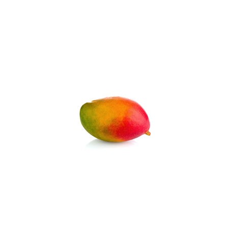 Mangue Kent - COLOMBIE Cat1 - Pièce