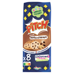 PASQUIER  Pitch aux pépites de chocolat - 300g