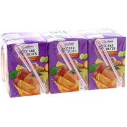 Casino Nectar - 15 Fruits - Mini Briques - Gouter enfant - 6x20cl