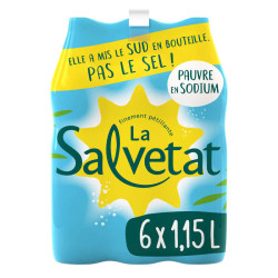 Salvetat Eau Naturellement Gazeuse 6x1