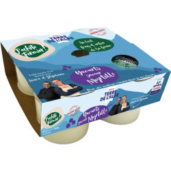 YAOURT MYRTILLE TDA 4X100G