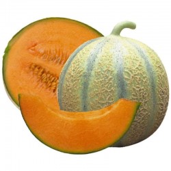 Melon Charentais Jaune -...