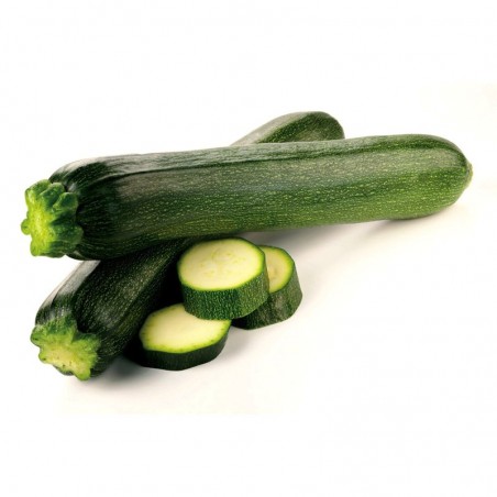 Courgettes - FRANCE Cat1 - 500g