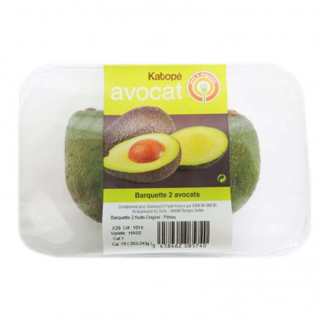 Avocat mur à point - MEXIQUE Cat1 - 2 Pièces