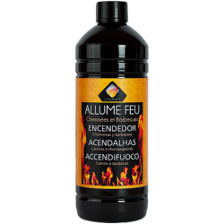 CHEMINETT Allume Feu Liquide sans odeur - 1L