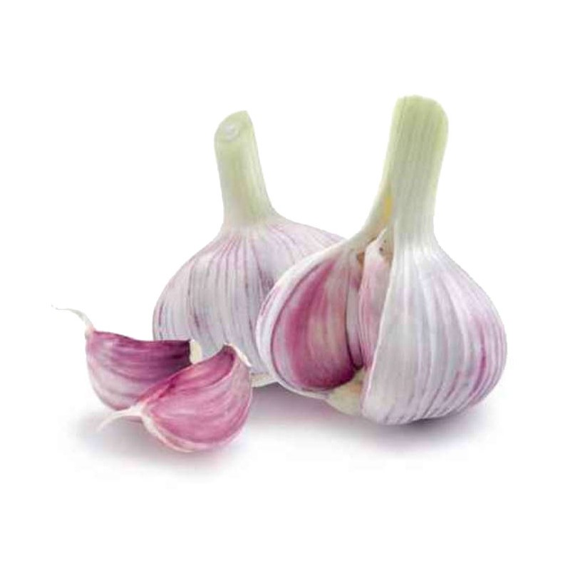 Ail Blanc - FRANCE Cat1 - 250g 250g