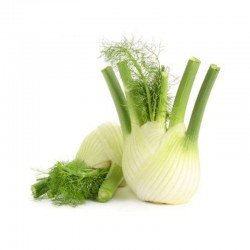 Fenouil - ITALIE Cat1 - 500g 500g