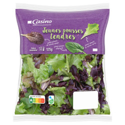 Casino Tendres Pousses 125g