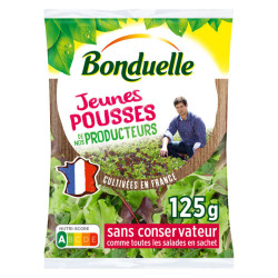 Bonduelle salade du jour 125g