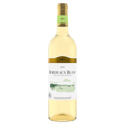 Club des sommeliers bordeaux vin blanc 2019 75cl