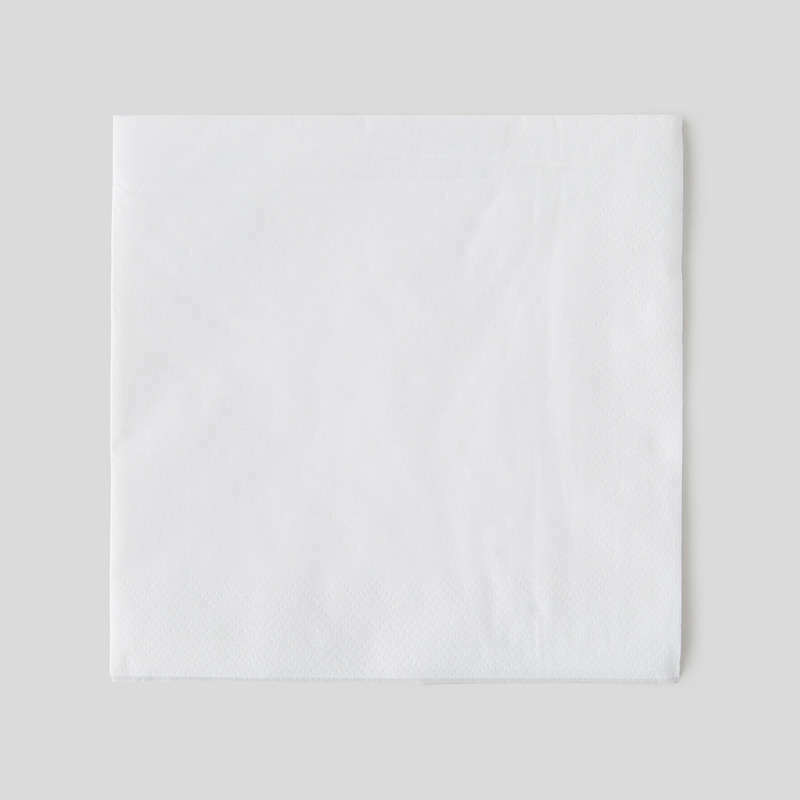 Monoprix Maison 100 Serviettes Blanches