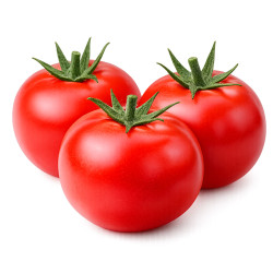 Tomate ronde - FRANCE Cat1...