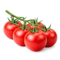 Tomate ronde grappe -...