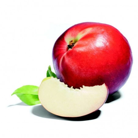 Nectarine blanche - FRANCE Cat1 - 1Kg