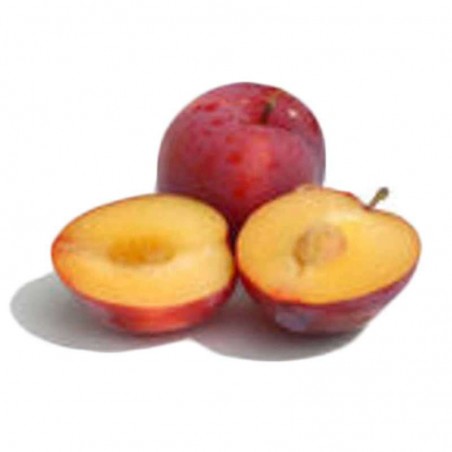 Prune rouge - FRANCE Cat1 - 500g