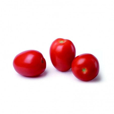Tomates cerises allongées Bio - FRANCE Cat2 - 250g
