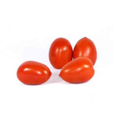 Tomate Cerise allongée - MAROC Cat1