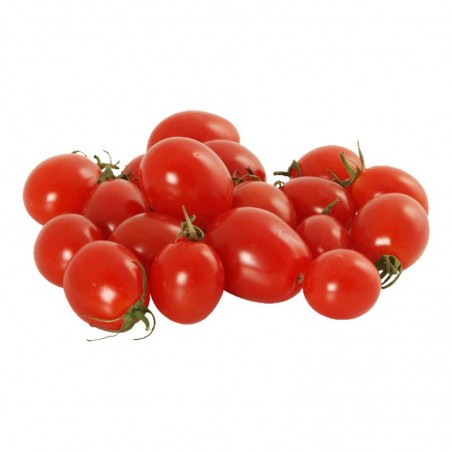 Tomates cerises MAROC