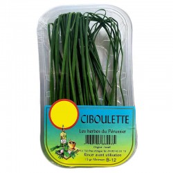 Herbe Fraiche Ciboulette - ESPAGNE Cat1 - 15g 15g