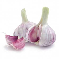 Ail Blanc - FRANCE Cat1 - 250g 250g